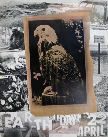 The American Eagle, 1970 by Robert Rauschenberg Pricing Limited Edition Print image