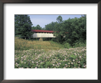 Old Town Bridge Near Greenup, Kentucky, Usa by Adam Jones Pricing Limited Edition Print image