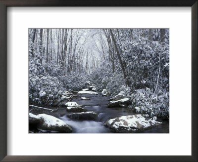 Cosby Creek In Winter, Great Smoky Mountains National Park, Tennessee, Usa by Adam Jones Pricing Limited Edition Print image