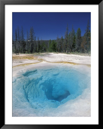 Morning Glory Pool, Yellowstone National Park, Wyoming, Usa by Adam Jones Pricing Limited Edition Print image
