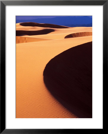 Oregon Dunes National Recreation Area, Sunset, Oregon, Usa by Adam Jones Pricing Limited Edition Print image