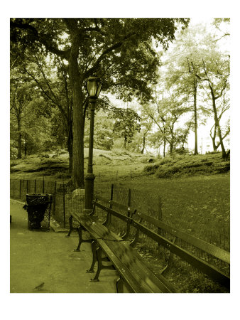 Central Park I by Miguel Paredes Pricing Limited Edition Print image