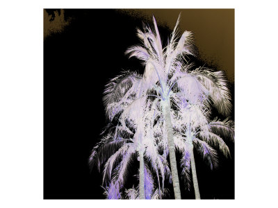 Tropical Palms Xi by Miguel Paredes Pricing Limited Edition Print image