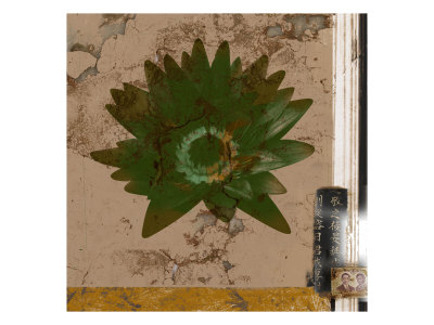 Fresco Lotus I by Miguel Paredes Pricing Limited Edition Print image