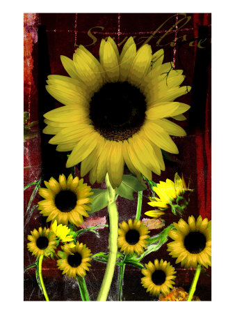Sunflower Iii by Miguel Paredes Pricing Limited Edition Print image