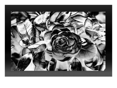 Silver X by Miguel Paredes Pricing Limited Edition Print image