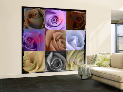 Muted Roses by Miguel Paredes Pricing Limited Edition Print image