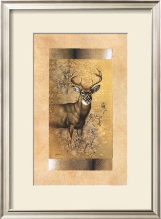 White-Tailed Deer by Judy Gibson Pricing Limited Edition Print image