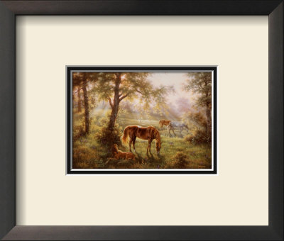 A Summer Morn by Judy Gibson Pricing Limited Edition Print image