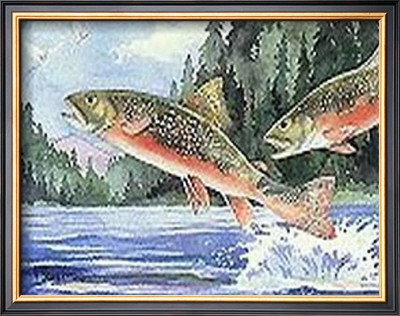 Brook Trout by Paul Brent Pricing Limited Edition Print image
