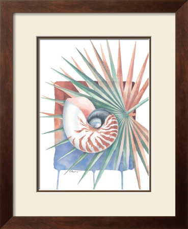 Palmettonautilus by Paul Brent Pricing Limited Edition Print image