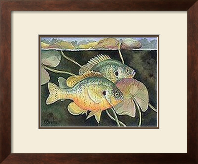 Sunfish by Paul Brent Pricing Limited Edition Print image