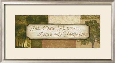 Take Only Pictures by Mary Beth Zeitz Pricing Limited Edition Print image