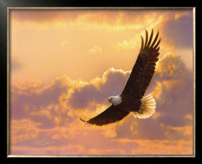 Soaring Spirit by Collin Bogle Pricing Limited Edition Print image