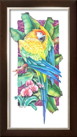Paradise Macaw I-Yellow by Paul Brent Pricing Limited Edition Print image