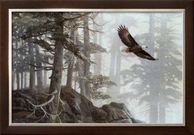 Flying High by Alan Sakhavarz Pricing Limited Edition Print image