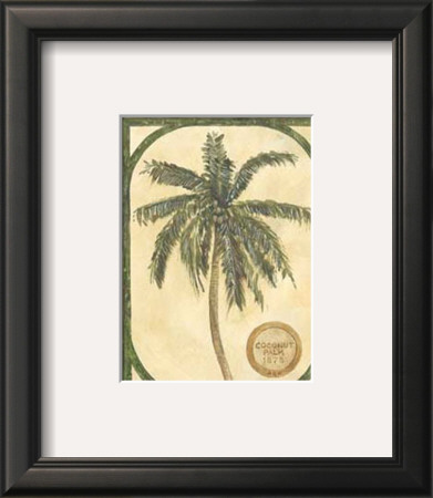 Coconut Palm by David Nichols Pricing Limited Edition Print image