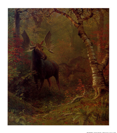 Moose by Albert Bierstadt Pricing Limited Edition Print image