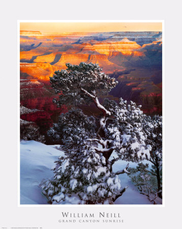Grand Canyon Sunrise by William Neill Pricing Limited Edition Print image