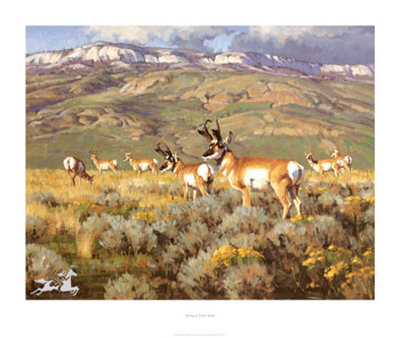 Spring At Fossil Butte by David Wade Pricing Limited Edition Print image