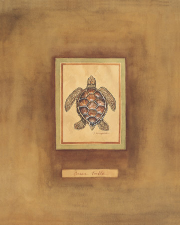Green Turtle by Debra Swartzendruber Pricing Limited Edition Print image