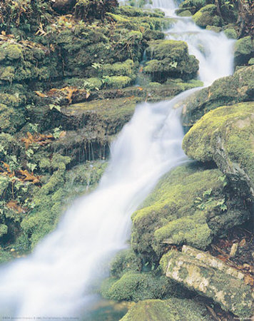 Waterfall by Terry Donnelly Pricing Limited Edition Print image
