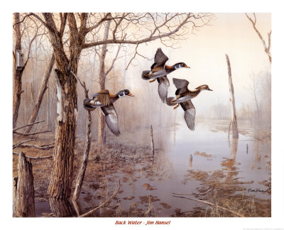 Back Water by Jim Hansel Pricing Limited Edition Print image