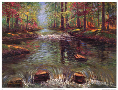 Cascading Brook Ii by Van Martin Pricing Limited Edition Print image