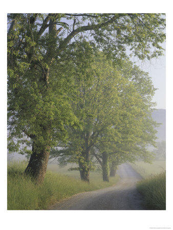 Hyatt Lane, Cades Cove, Great Smoky Mountains National Park, Tennessee, Usa by Adam Jones Pricing Limited Edition Print image