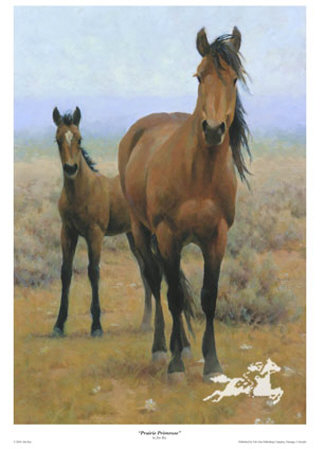 Prairie Primrose by Jim Rey Pricing Limited Edition Print image