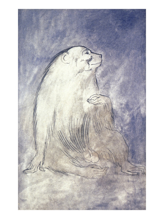 Picasso: Monkey, 1905 by Pablo Picasso Pricing Limited Edition Print image
