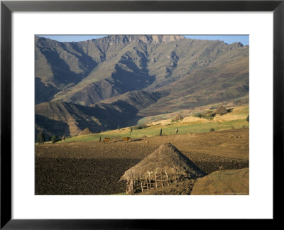 Debirichwa Village In Early Morning, Simien Mountains National Park, Ethiopia by David Poole Pricing Limited Edition Print image