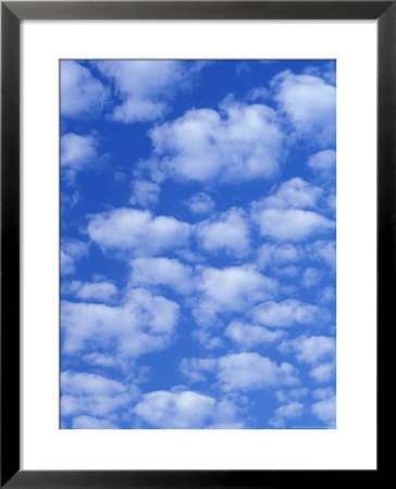 Cumulus Cloud Pattern by Adam Jones Pricing Limited Edition Print image