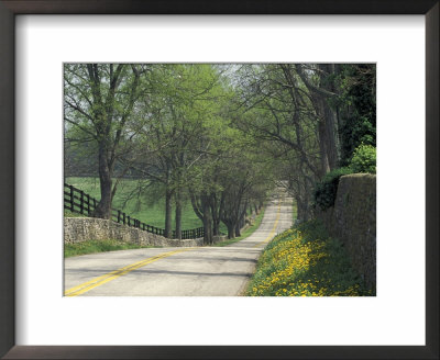 Old Iron Works Road, Lexington, Kentucky, Usa by Adam Jones Pricing Limited Edition Print image