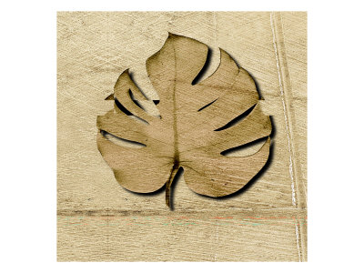 Gold Box Ii by Miguel Paredes Pricing Limited Edition Print image