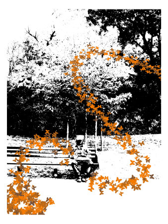 Orange Butterflies by Miguel Paredes Pricing Limited Edition Print image