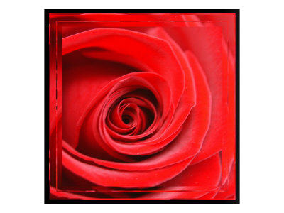 Cadmium Red Ii by Miguel Paredes Pricing Limited Edition Print image