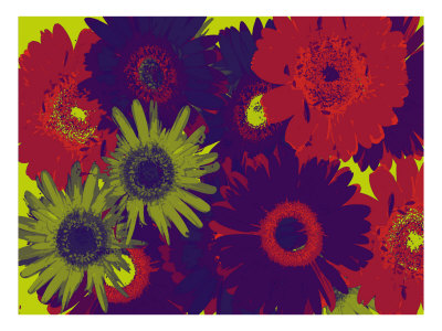 Abstract Flowers Iv by Miguel Paredes Pricing Limited Edition Print image