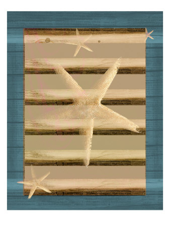 Starfish I by Miguel Paredes Pricing Limited Edition Print image