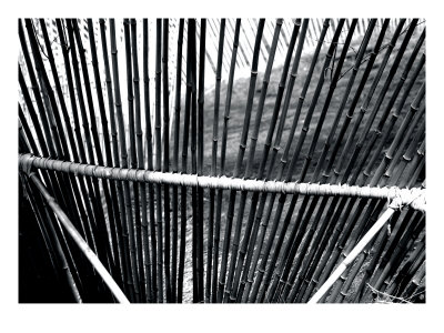 Bamboo Installed by Miguel Paredes Pricing Limited Edition Print image