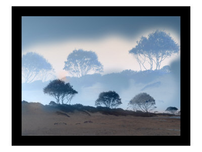 Bronzo Trees I by Miguel Paredes Pricing Limited Edition Print image