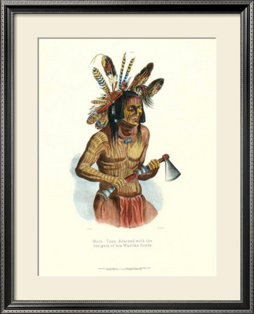 Adorned With Deeds Insignia by Karl Bodmer Pricing Limited Edition Print image