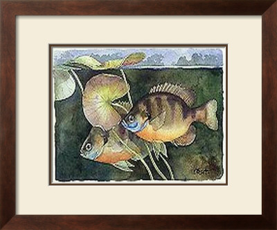 Blugill by Paul Brent Pricing Limited Edition Print image