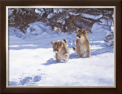 Cautious Approach by John Banovich Pricing Limited Edition Print image