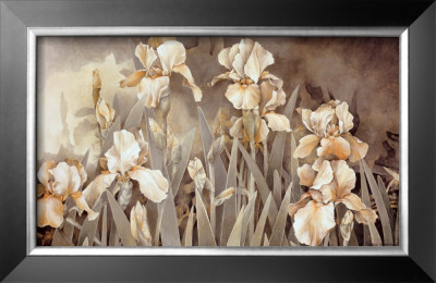 Field Of Irises by Linda Thompson Pricing Limited Edition Print image