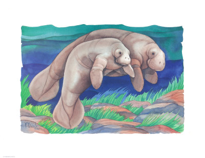 Manatee Mates by Paul Brent Pricing Limited Edition Print image
