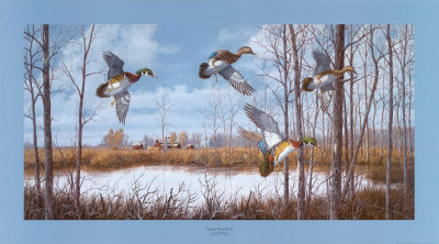 Wood Ducks by Michael Bargelski Pricing Limited Edition Print image