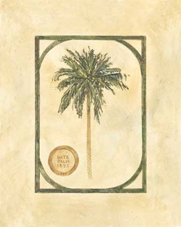 Date Palm by David Nichols Pricing Limited Edition Print image
