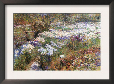 Water Garden by Childe Hassam Pricing Limited Edition Print image