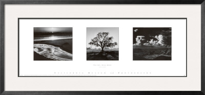 Trilogy by Ansel Adams Pricing Limited Edition Print image